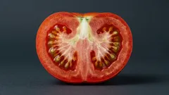 Biela a tvrdá dužina v paradajkách: prečo sa objavuje a dá sa dopestovať ideálny plod bez nej?